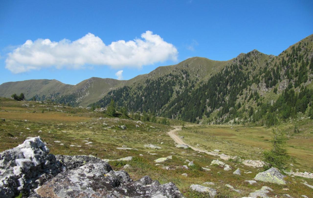 Ferienhaeuser Troester Bad Kleinkirchheim Εξωτερικό φωτογραφία