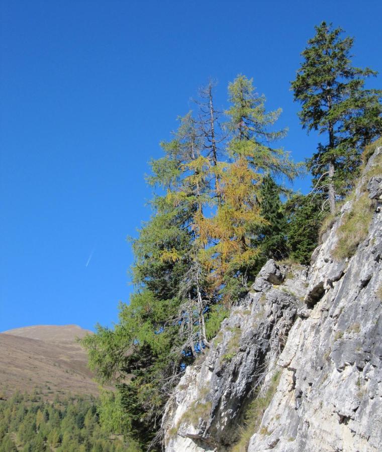 Ferienhaeuser Troester Bad Kleinkirchheim Εξωτερικό φωτογραφία