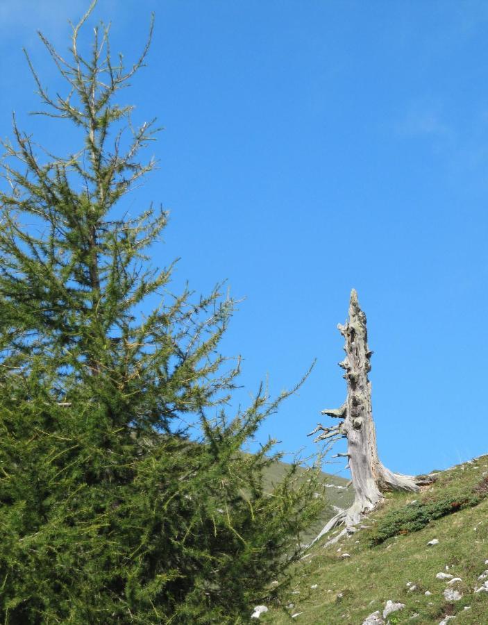 Ferienhaeuser Troester Bad Kleinkirchheim Εξωτερικό φωτογραφία