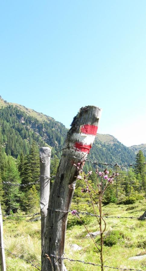 Ferienhaeuser Troester Bad Kleinkirchheim Εξωτερικό φωτογραφία
