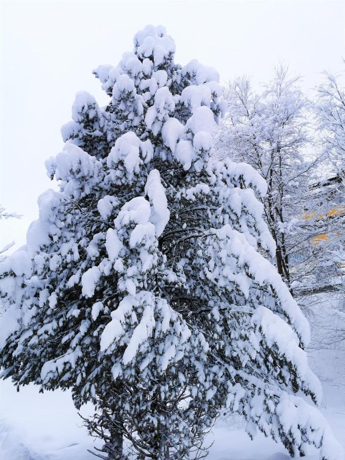 Ferienhaeuser Troester Bad Kleinkirchheim Εξωτερικό φωτογραφία