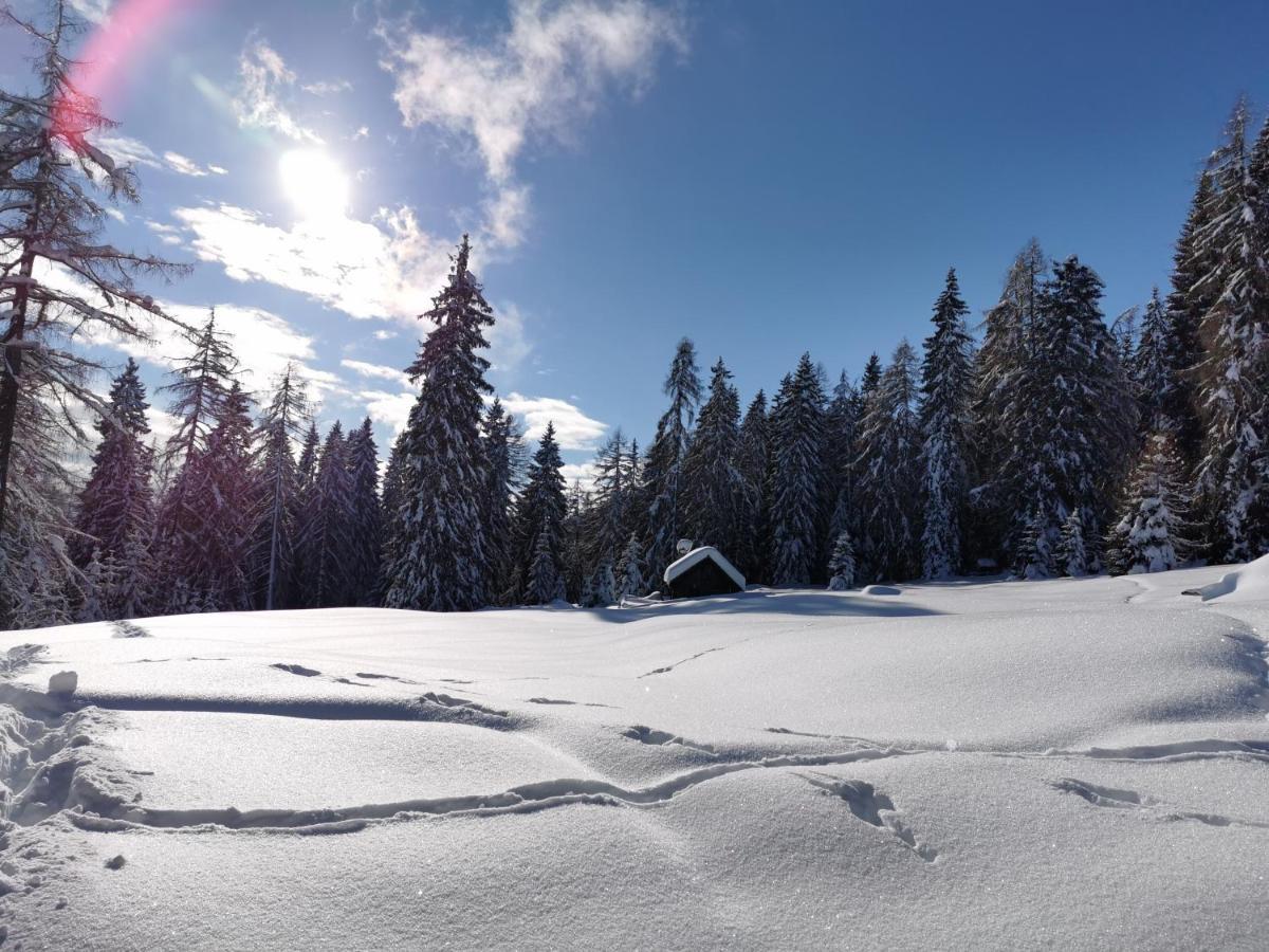 Ferienhaeuser Troester Bad Kleinkirchheim Εξωτερικό φωτογραφία