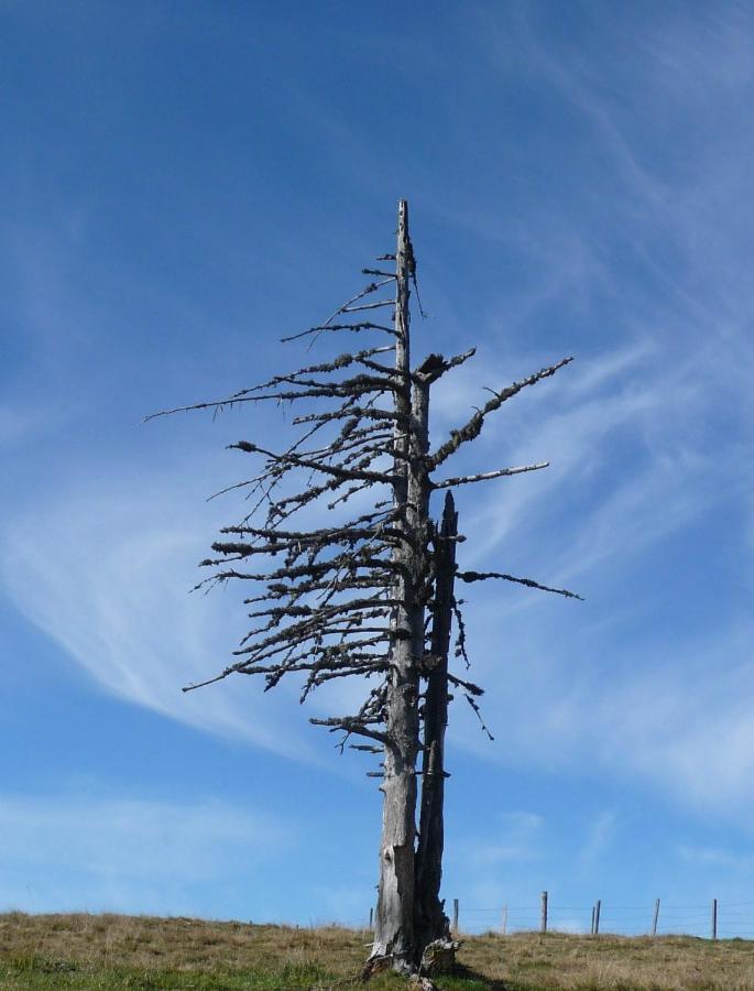 Ferienhaeuser Troester Bad Kleinkirchheim Εξωτερικό φωτογραφία